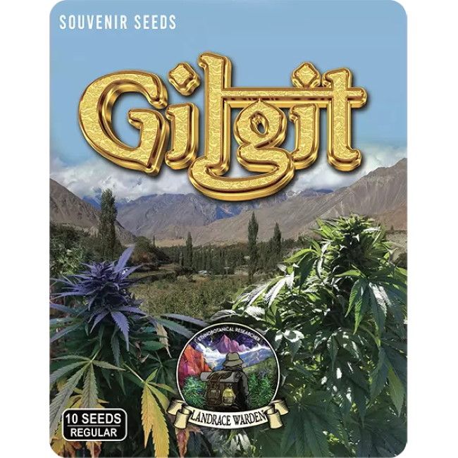 Buy Gilgit Green Regular Seeds By Landrace Warden In America Stellar