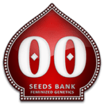 00 Seeds Logo