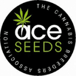 Ace Seeds Logo