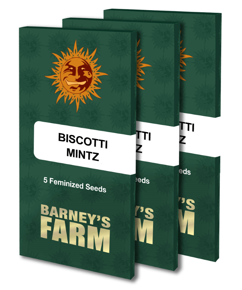 biscotti-mintz-pack