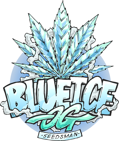 Blue Ice OG Feminized Seeds