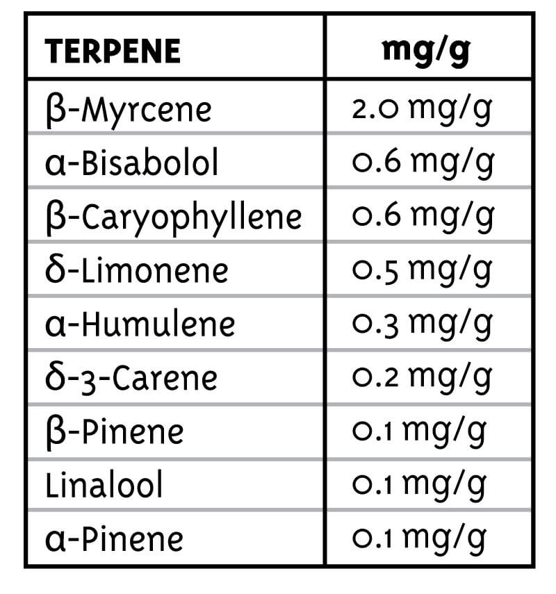 blueberry-muffin-terpenes_1