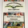 Buy Blueberry Feminized Seeds by Dutch Passion in America - Image 2