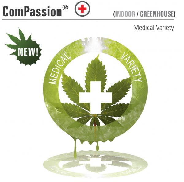 ComPassion CBD Feminized Seeds