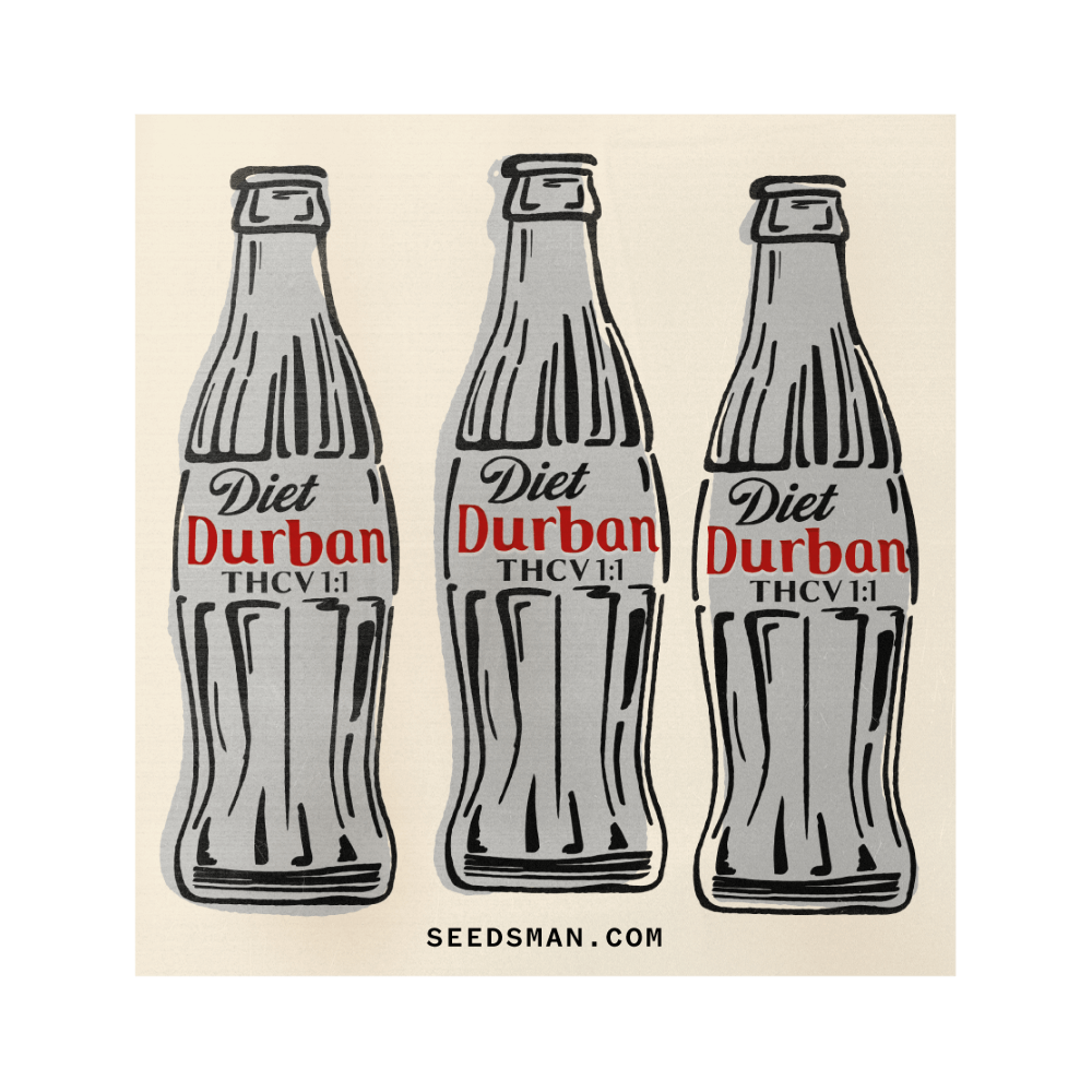 Diet Durban THCV 1:1 Feminized Seeds Diet Durban THCV 1:1 Feminized Seeds