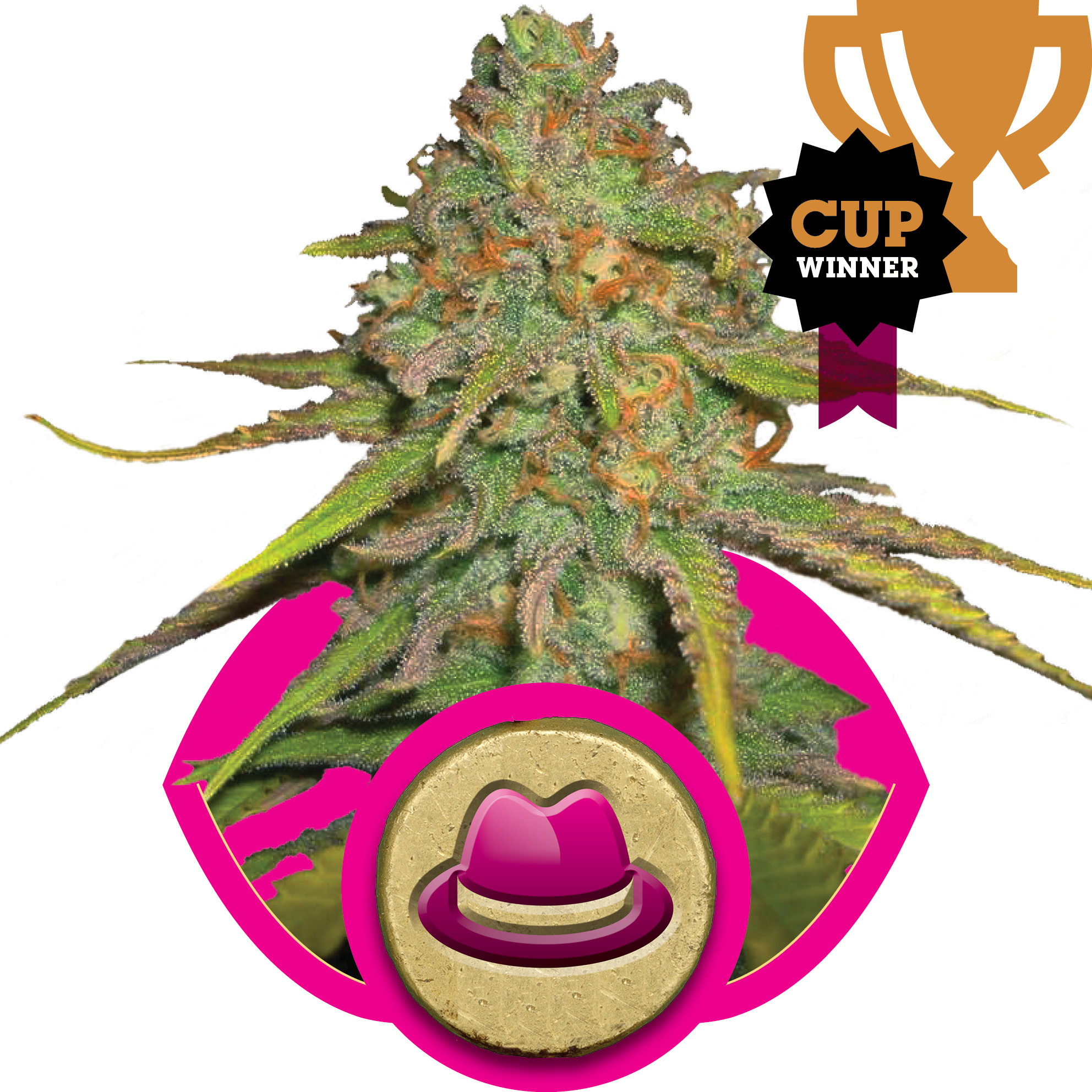 fem-ogkush