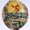 Buy Utopia Haze Feminized Seeds by Barney's Farm in America - Image 2