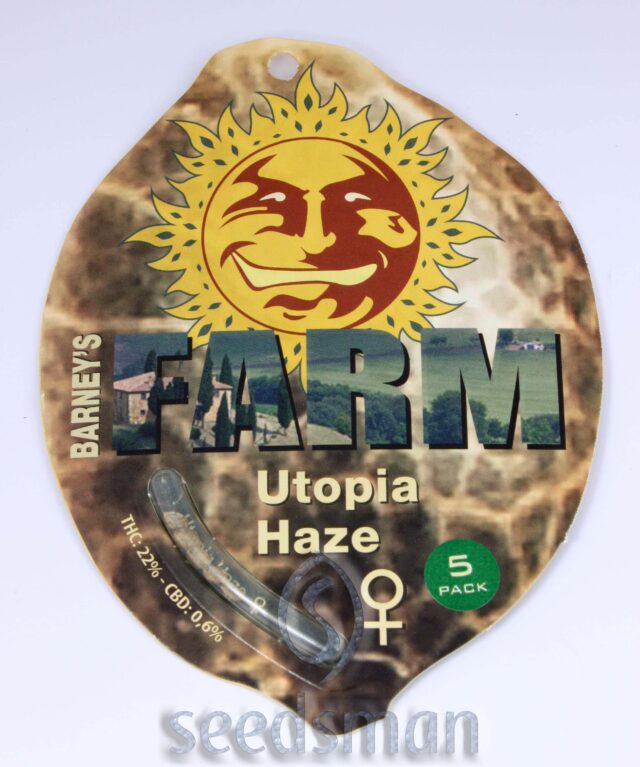 Buy Utopia Haze Feminized Seeds by Barney's Farm in America - Image 2