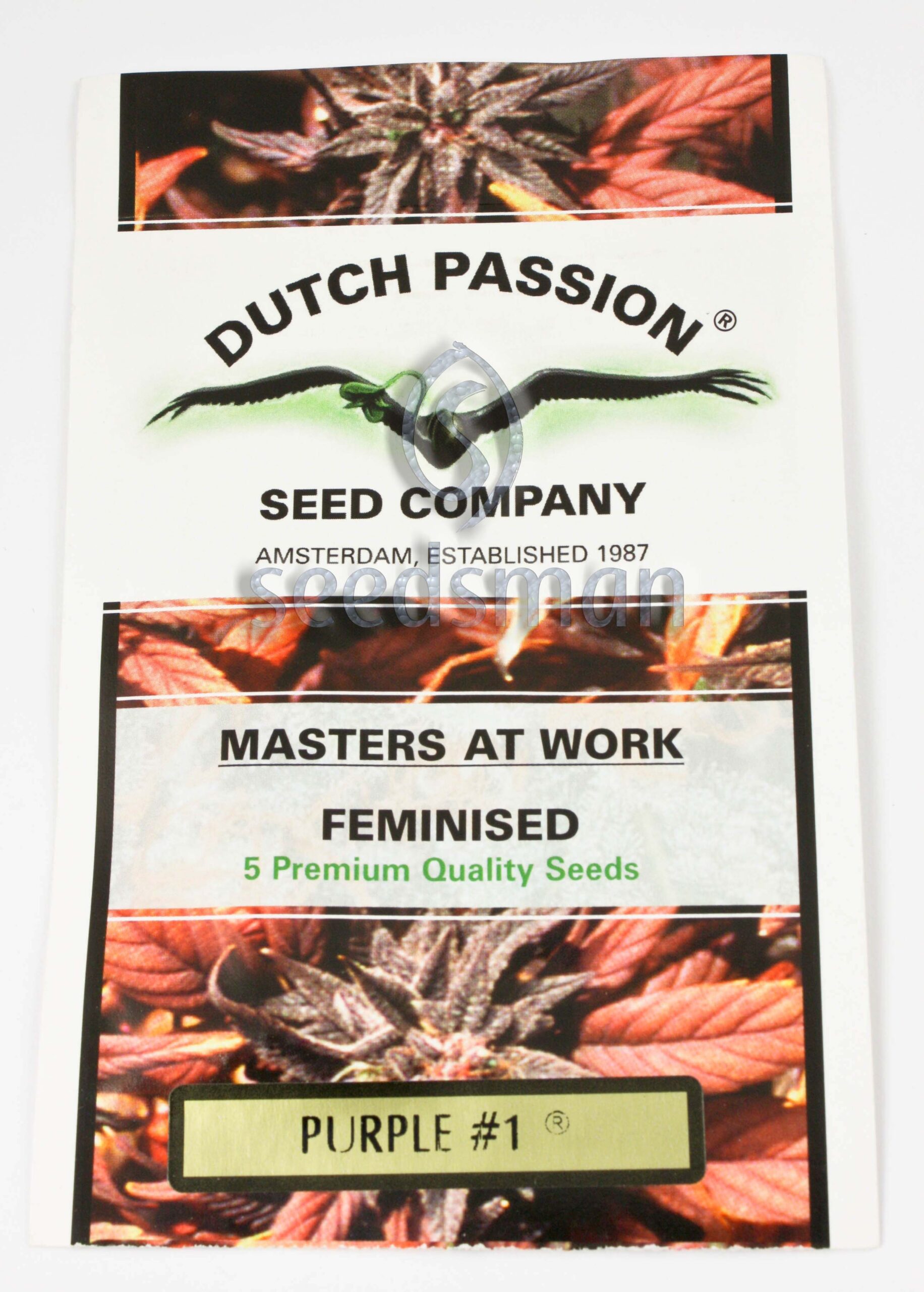 Purple #1 Feminized Seeds Purple #1 Feminized Seeds