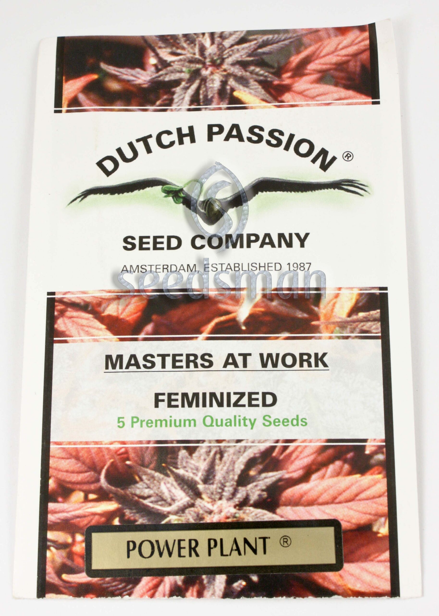 Power Plant Feminized Seeds Power Plant Feminized Seeds