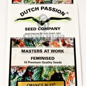 Orange Bud Feminized Seeds