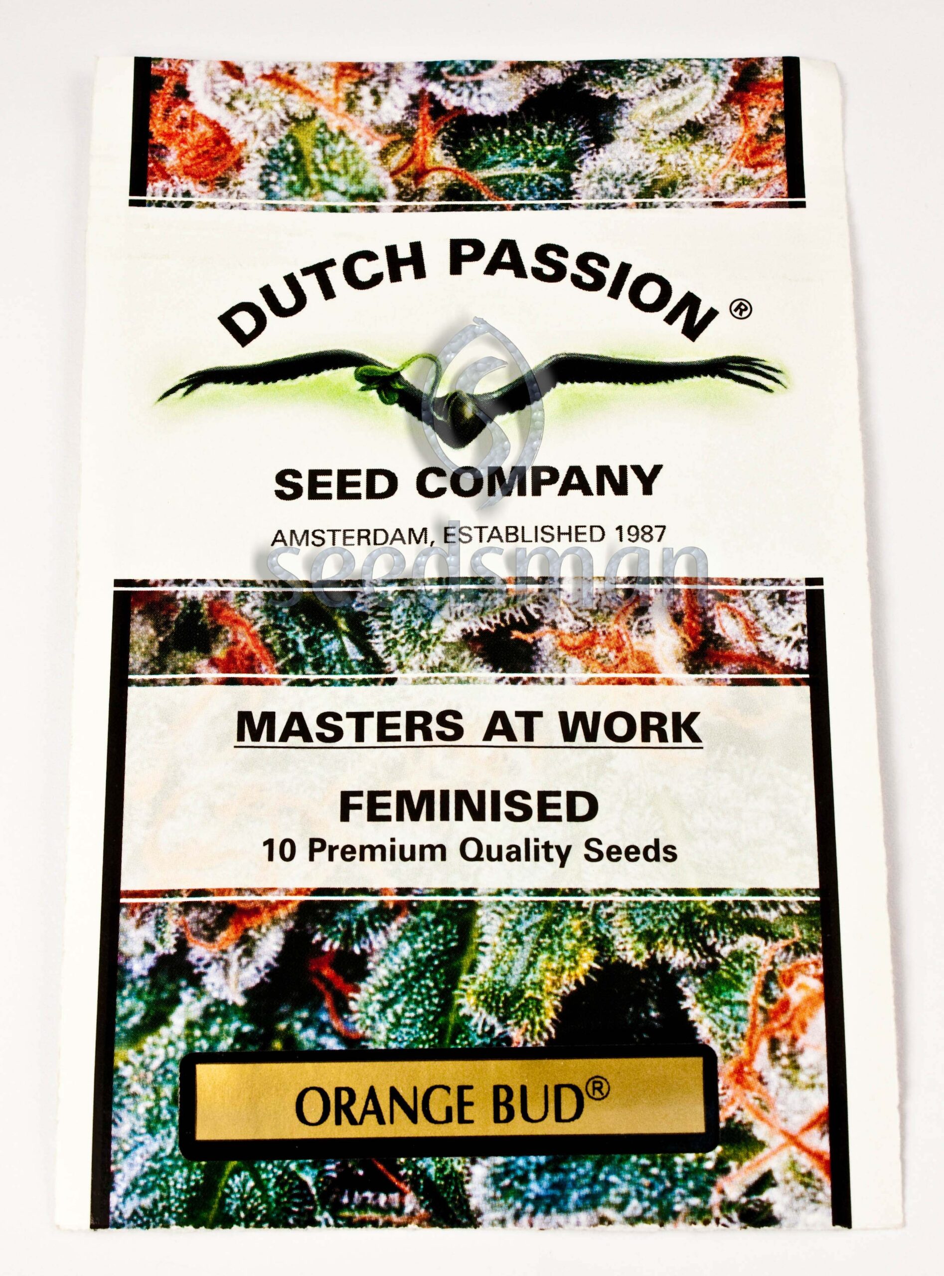 Orange Bud Feminized Seeds Orange Bud Feminized Seeds