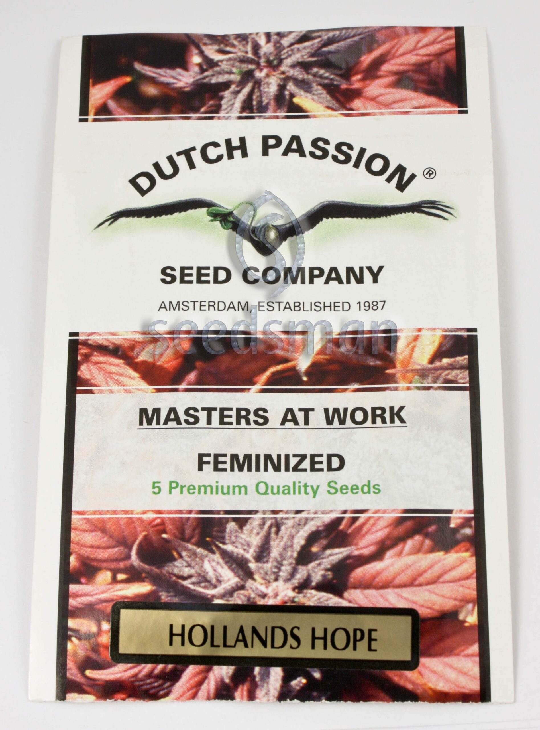 Holland's Hope Feminized Seeds Holland's Hope Feminized Seeds