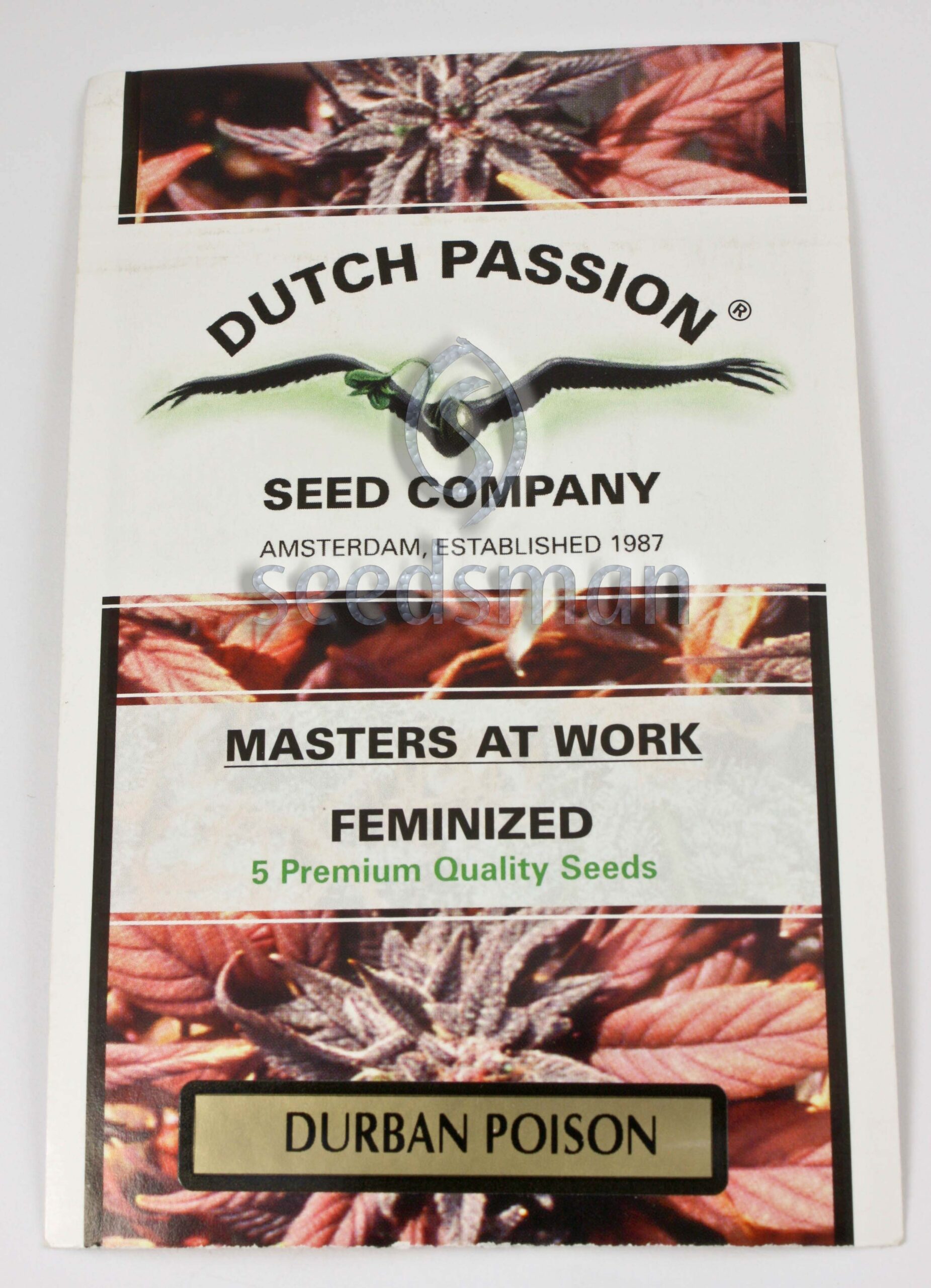 Durban Poison Feminized Seeds Durban Poison Feminized Seeds