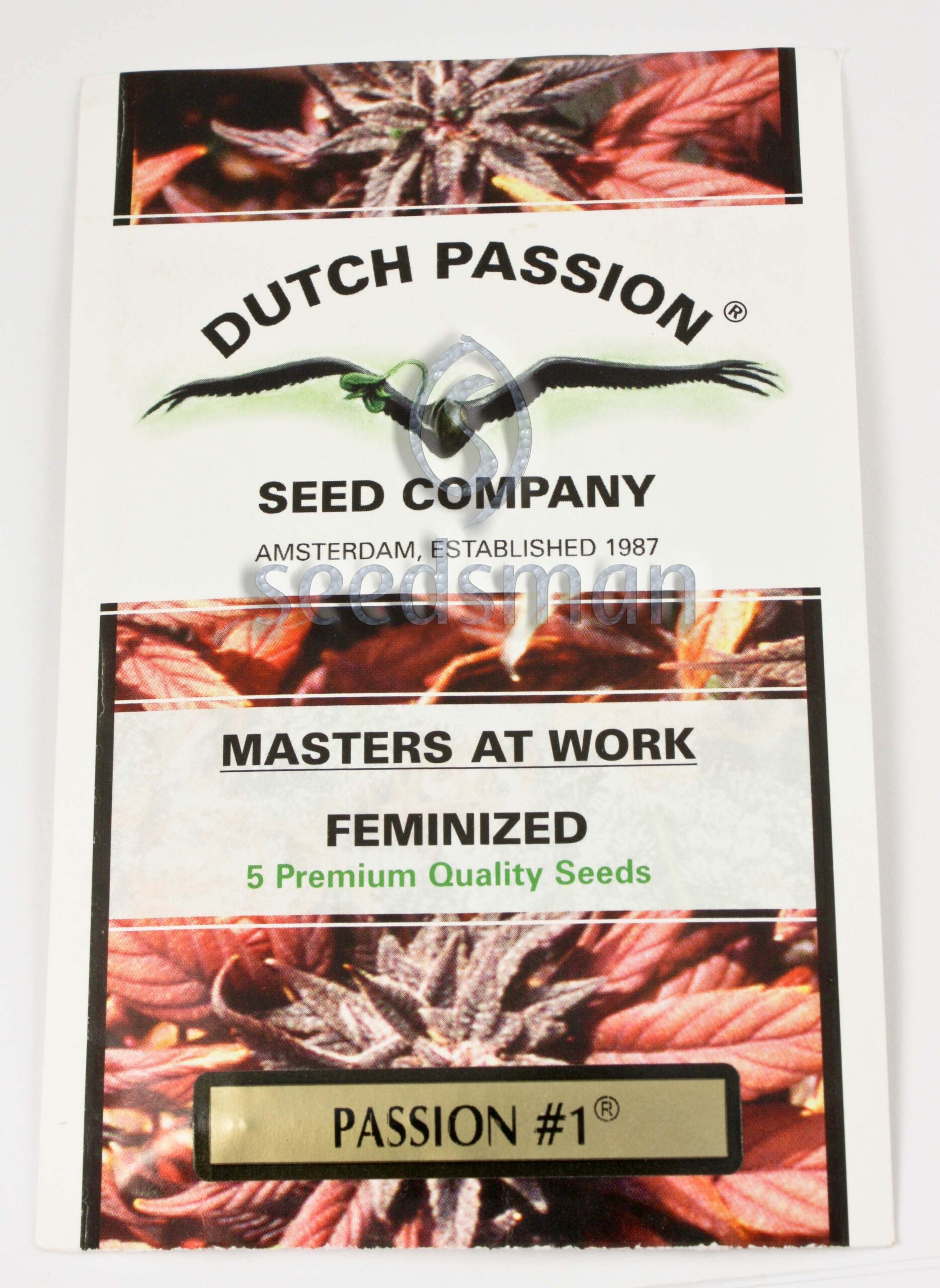 Passion #1 Feminized Seeds Passion #1 Feminized Seeds