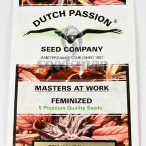 Frisian Dew Feminized Seeds