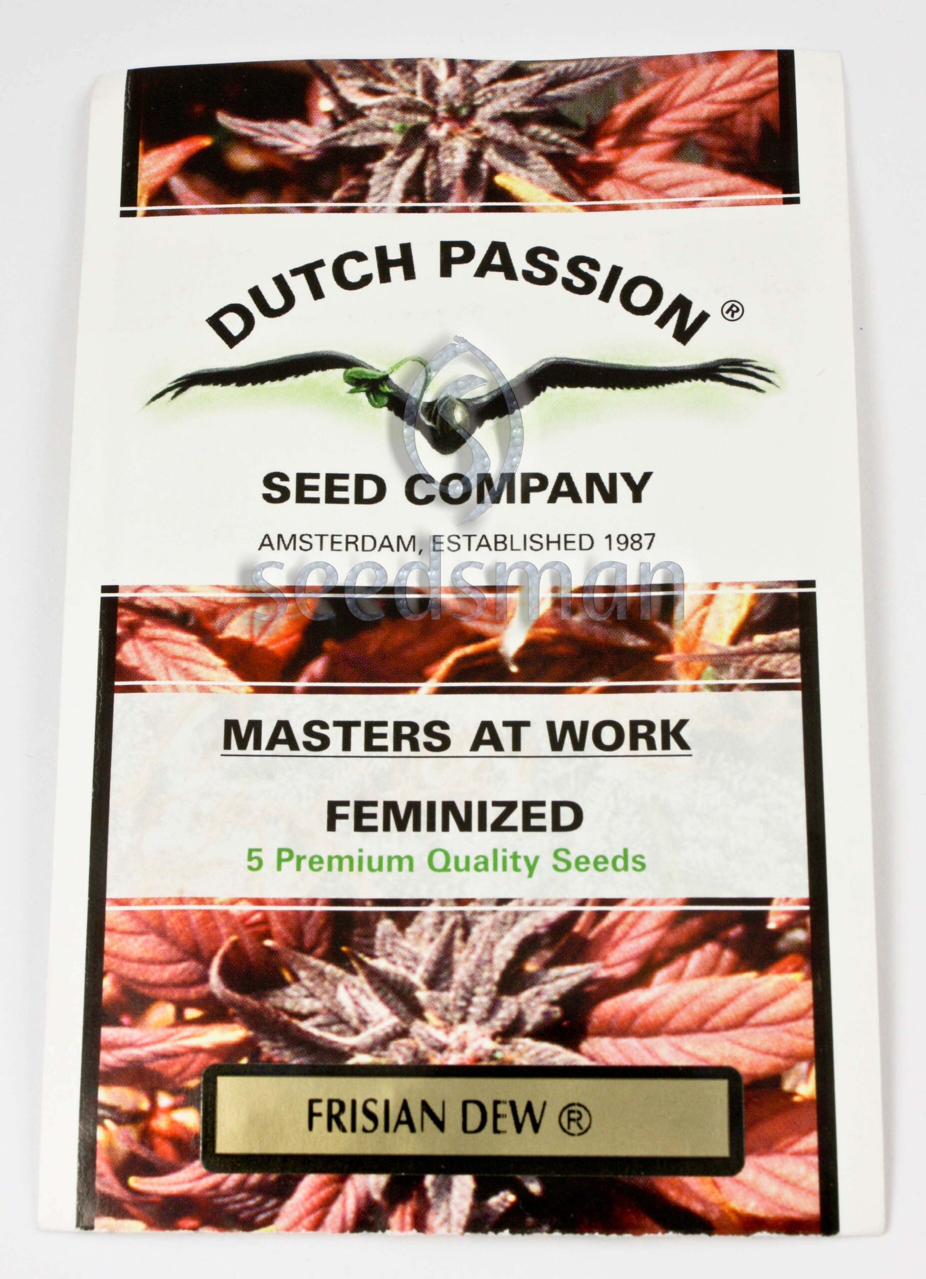 Frisian Dew Feminized Seeds Frisian Dew Feminized Seeds
