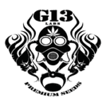 G13 Labs Logo