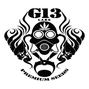 G13 Labs Logo