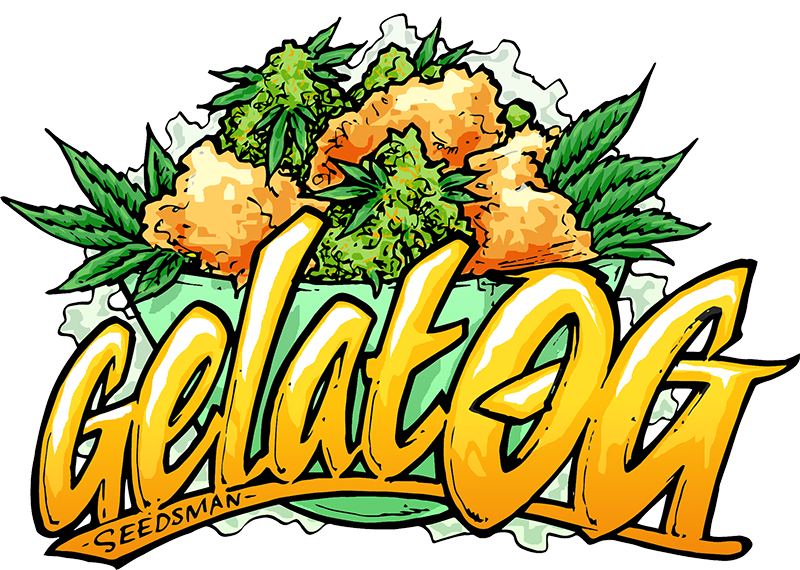 Gelat.OG Feminized Seeds Gelat.OG Feminized Seeds