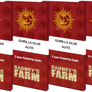 Gorilla Glue Auto Feminized Seeds