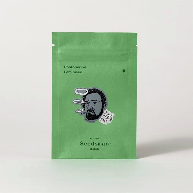 Jack Herer FAST Feminized Seeds