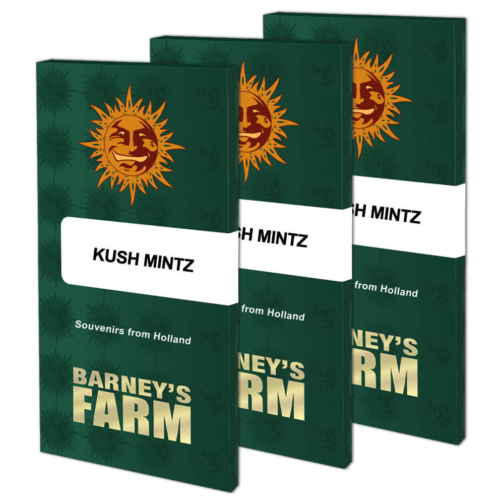 kush-mintz-packs