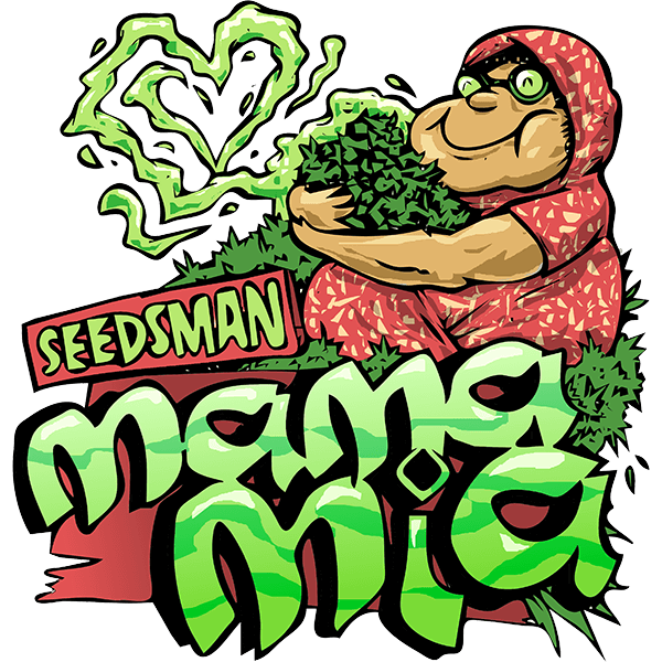 Mama Mia Auto Feminized Seeds -1 Seed