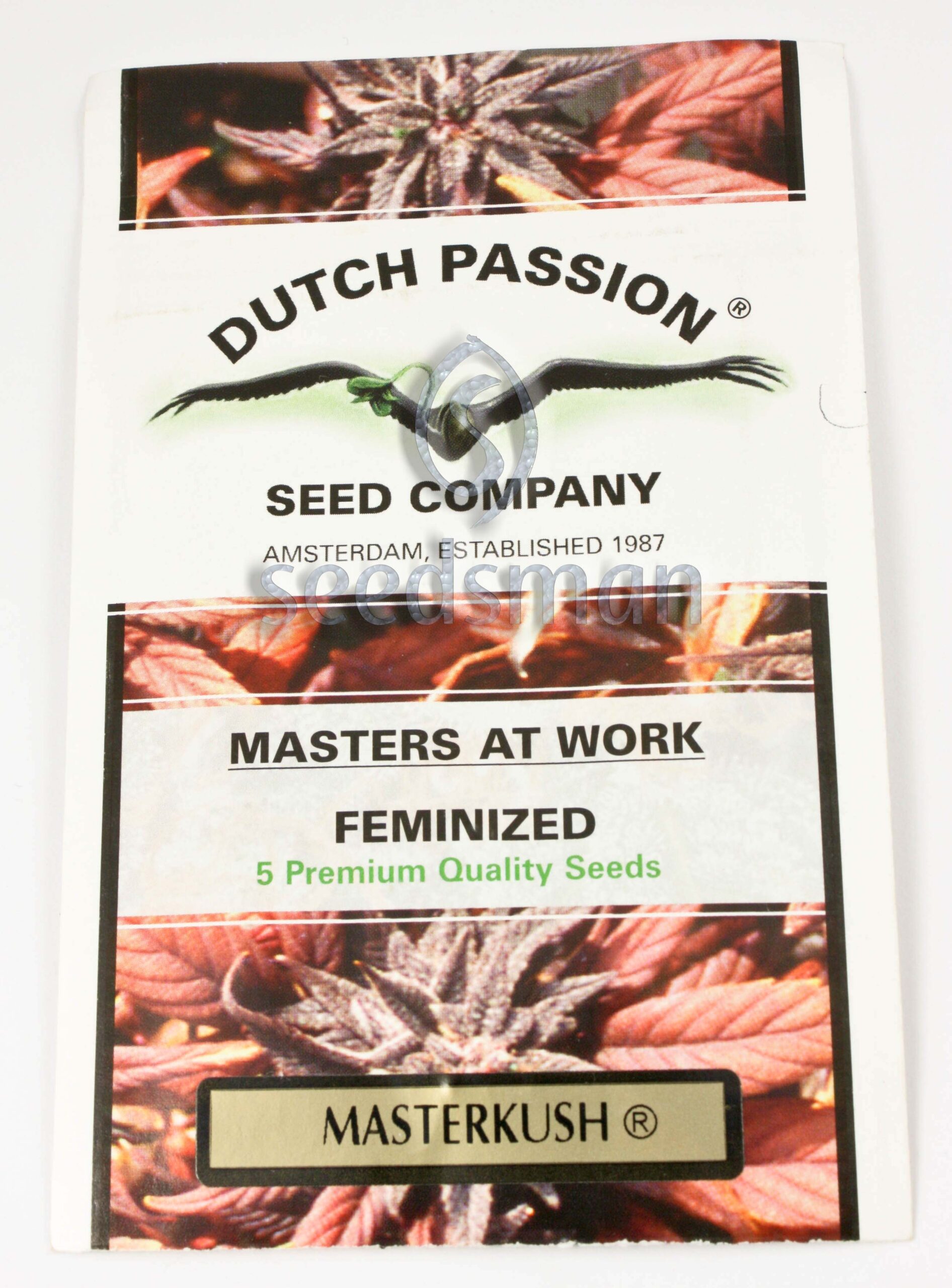 masterkush_1_1