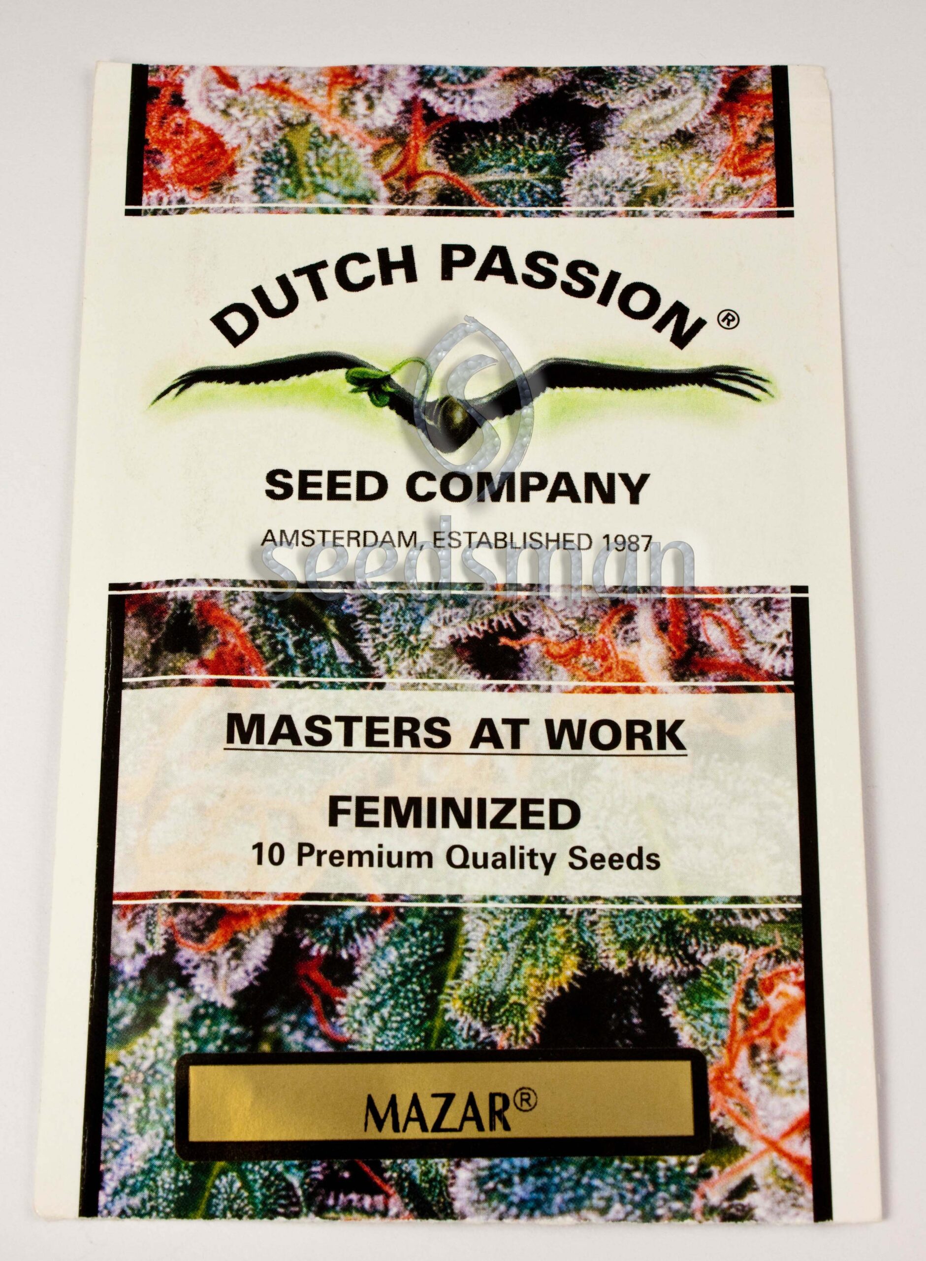 Mazar Feminized Seeds Mazar Feminized Seeds