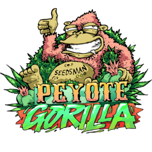 Peyote Gorilla Feminized Seeds