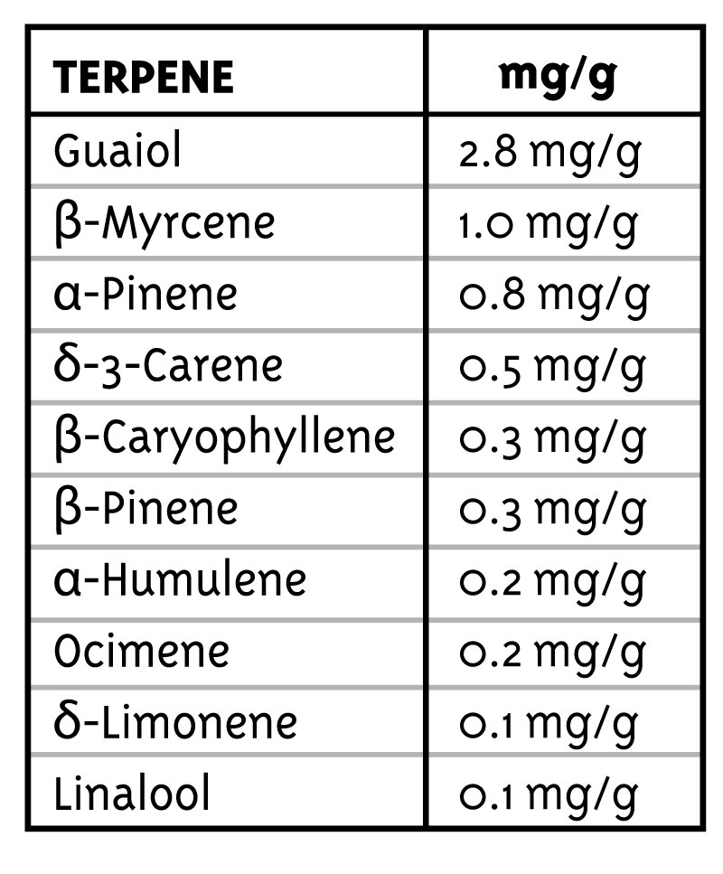 pineapple-muffin-terpenes_1