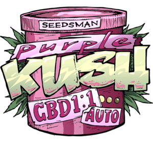 Purple Kush CBD Auto 1:1 Feminized Seeds