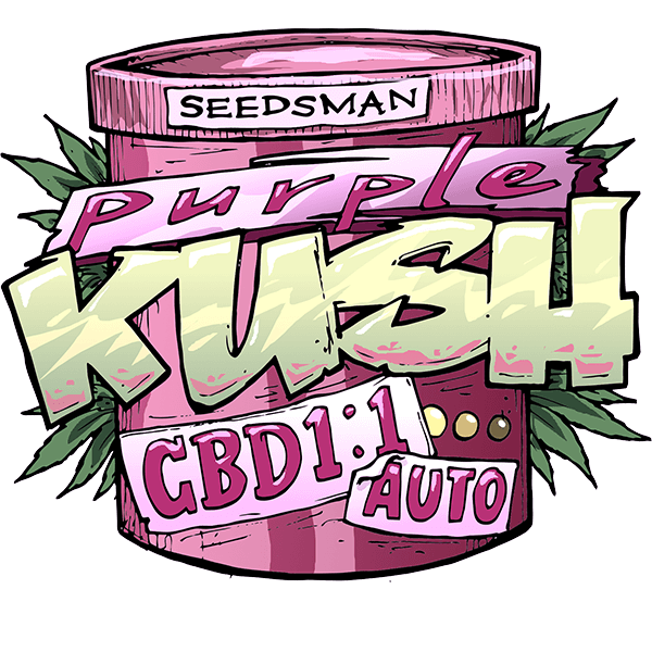 Purple Kush CBD Auto 1:1 Feminized Seeds Purple Kush CBD Auto 1:1 Feminized Seeds