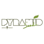 Pyramid Seeds Logo