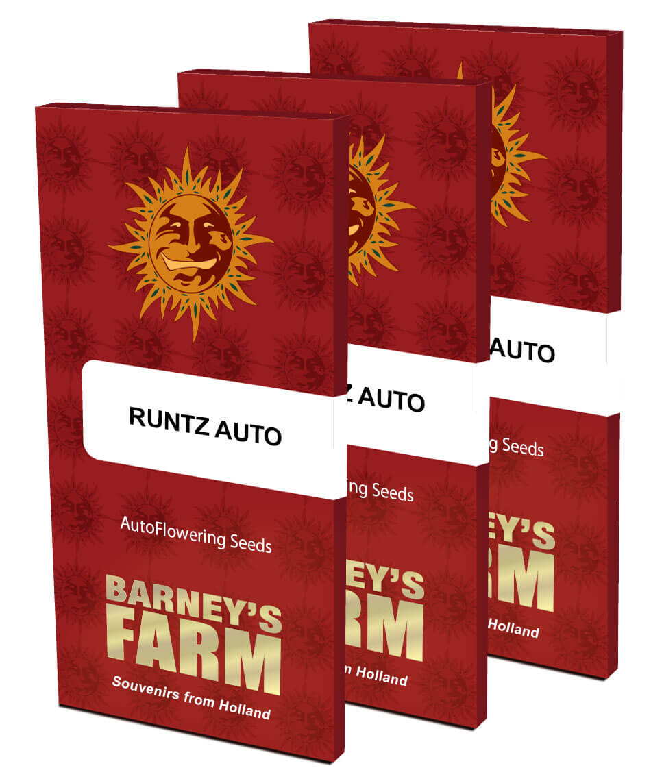 runtz-auto_packet_large_seeds
