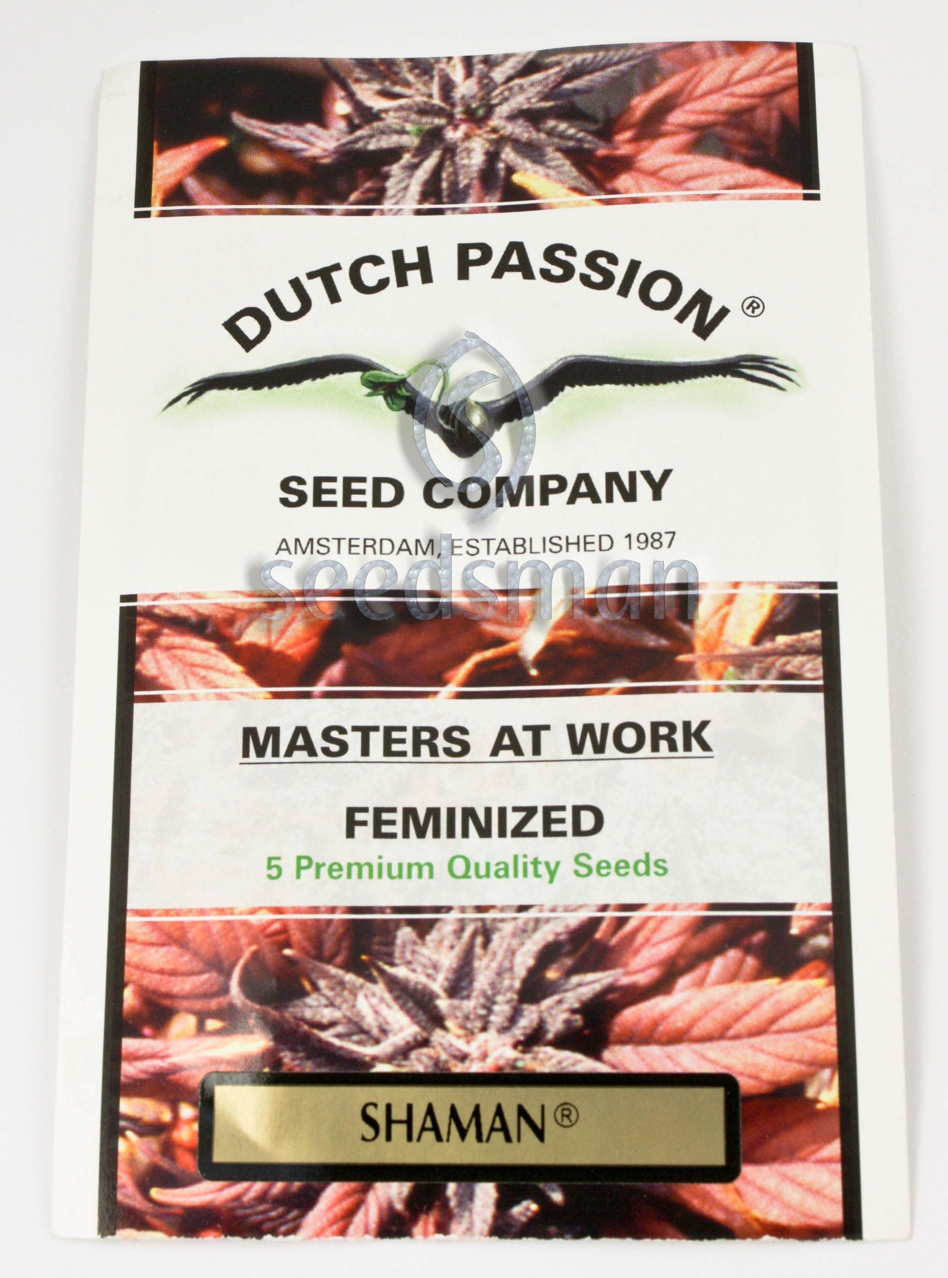 Shaman Feminized Seeds Shaman Feminized Seeds
