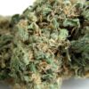 Buy Original Skunk #1 Regular Seeds by Seedsman in America - Image 2