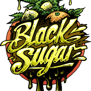 Black Sugar Feminized Seeds
