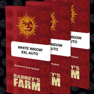 White Widow XXL Auto Feminized Seeds