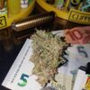 Buy Original AK Auto Feminized Seeds by FastBuds in America - Image 3