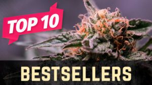 Top 10 Bestselling Weed Strains