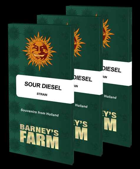 Sour Diesel Feminized Seeds