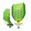 Buy Blue Cheese Automatic Feminized Seeds by Royal Queen Seeds in America - Image 3