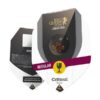 Buy Critical Regular Seeds by Royal Queen Seeds in America - Image 2