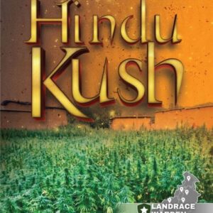 Hindu Kush Regular Seeds