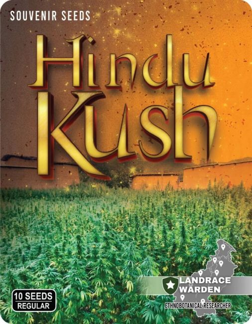 Hindu Kush Regular Seeds