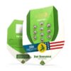 Buy Fat Banana Auto Feminized Seeds by Royal Queen Seeds in America - Image 3