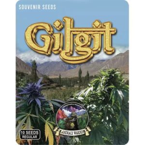 Gilgit Purple Regular Seeds