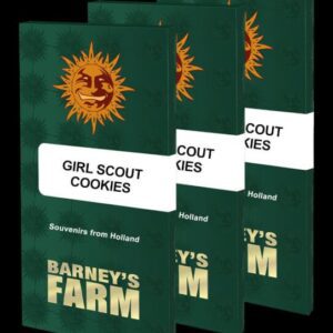 Girl Scout Cookies Feminized Seeds